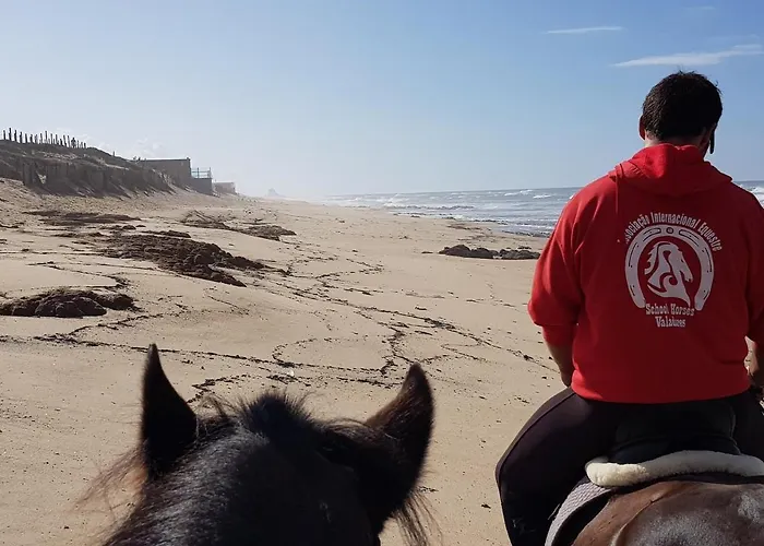 Oporto, Sea View And Marina